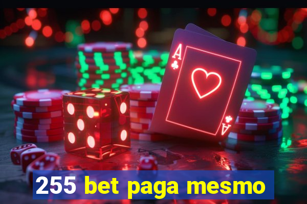 255 bet paga mesmo